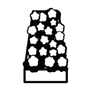 納棺花